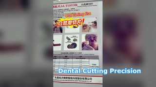 Đại lý liên minh toàn cầu AUTOFOR